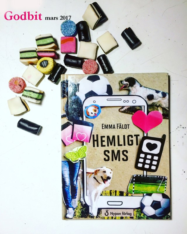 hemligtsms-gobit-kopia