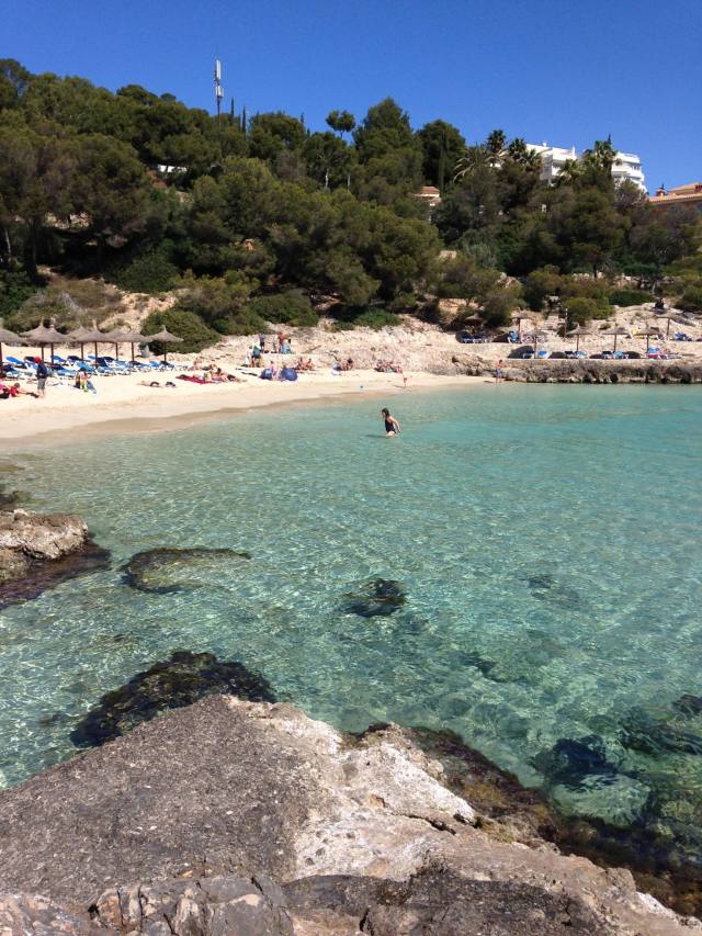 17834317_10154603677368667_5793888867612678153_o