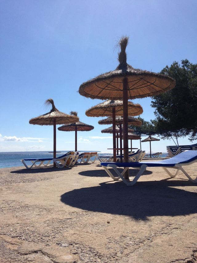 17835078_10154603677753667_71702681781898065_o