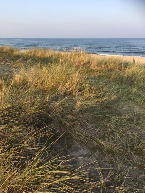 vitemlla2019sistaaugusti